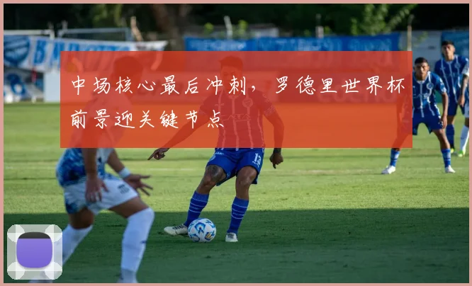 中场核心最后冲刺，罗德里世界杯前景迎关键节点